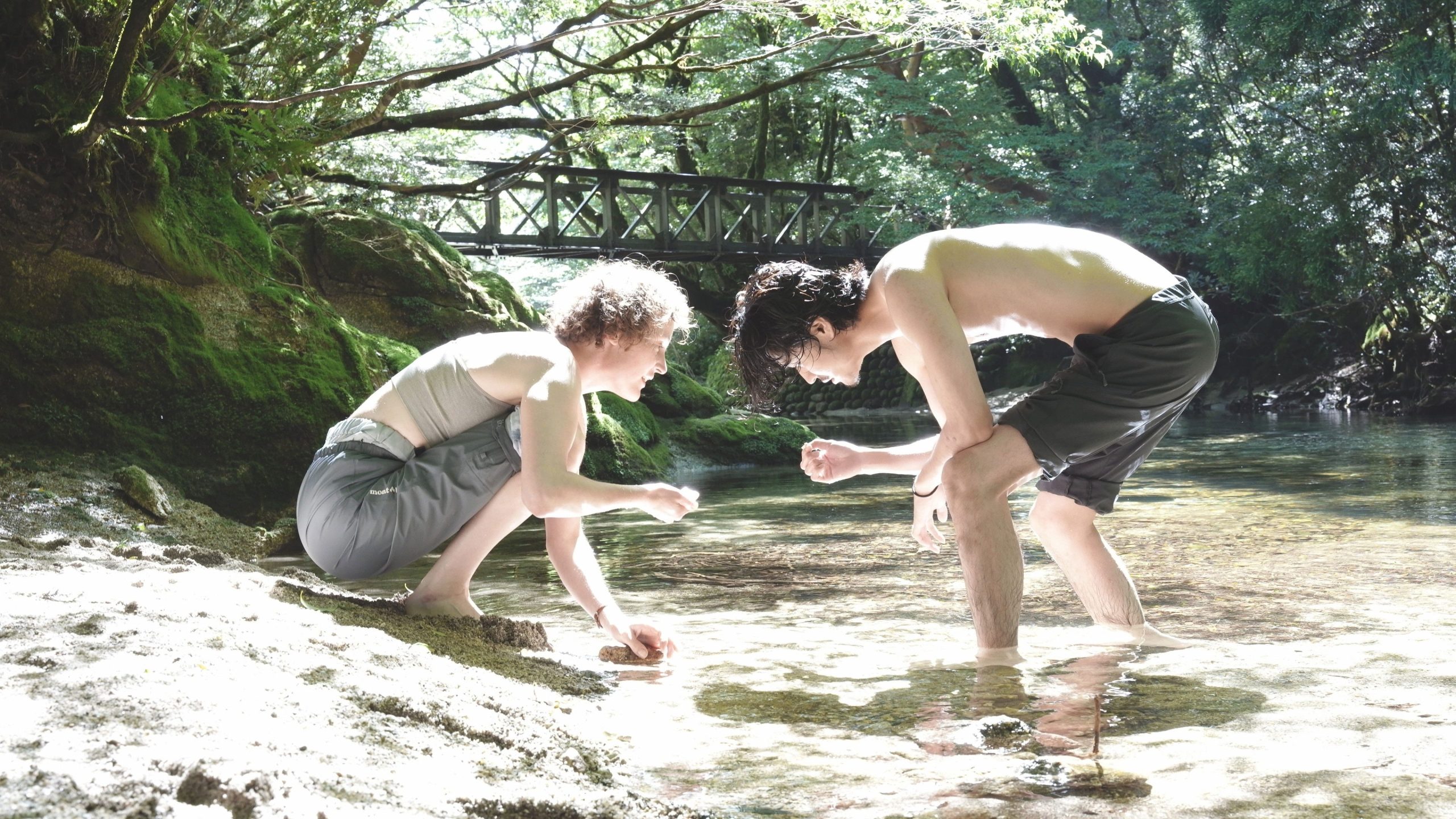 Yakushima's illusion 1