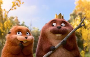 קופצים בראש