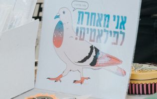 נועה כץ