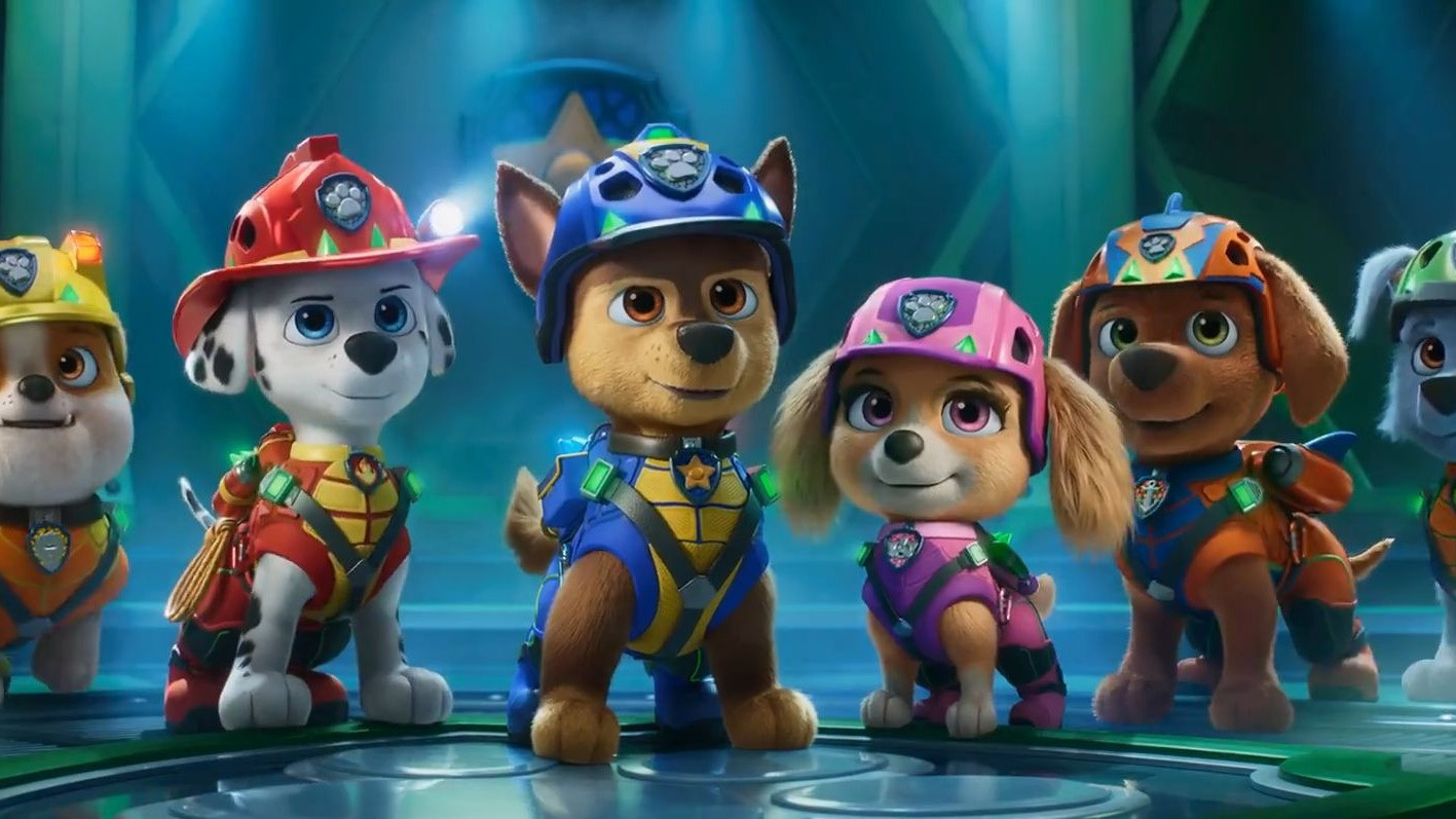 paw patrol 12